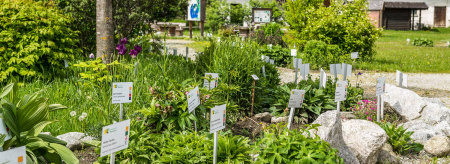 Hollersbacher Kräutergarten und Bienenlehrpfad