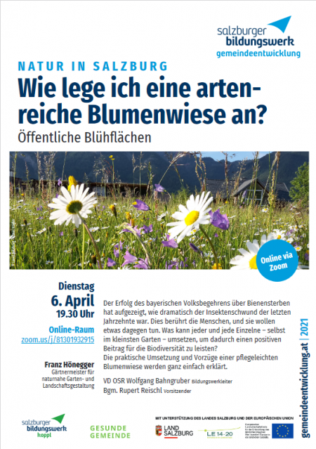 Wie lege ich eine artenreiche Blumenwiese an?