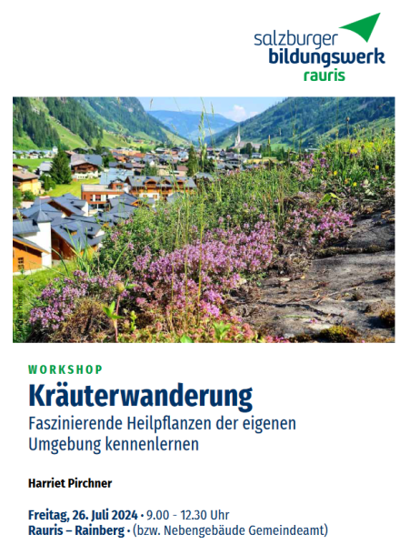 Kräuterwanderung Workshop